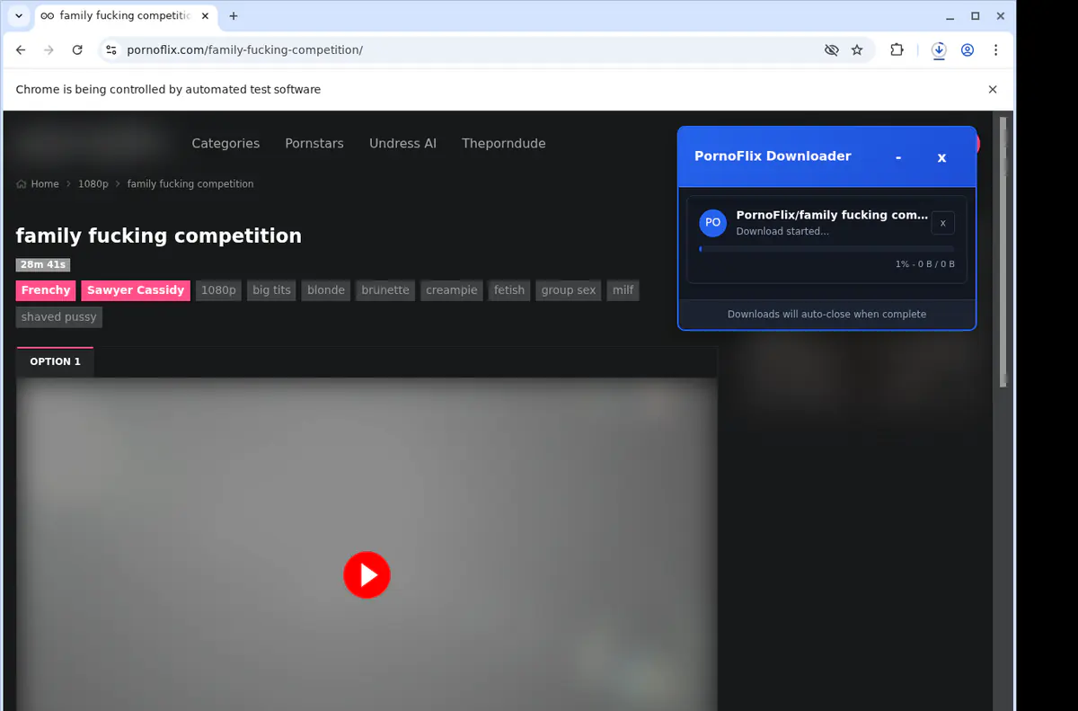 Pornoflix Video Downloader browser extension screenshot 2