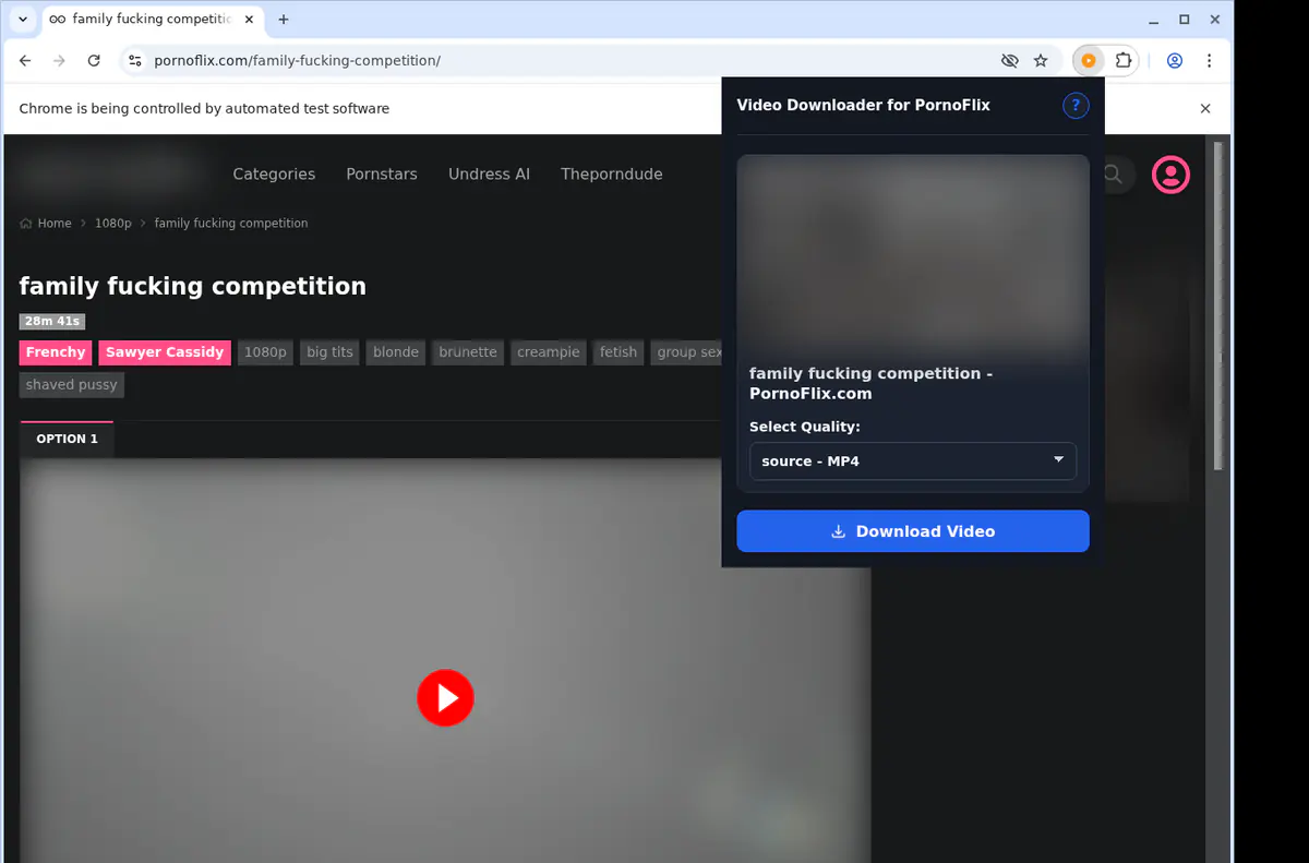 Pornoflix Video Downloader browser extension screenshot 3
