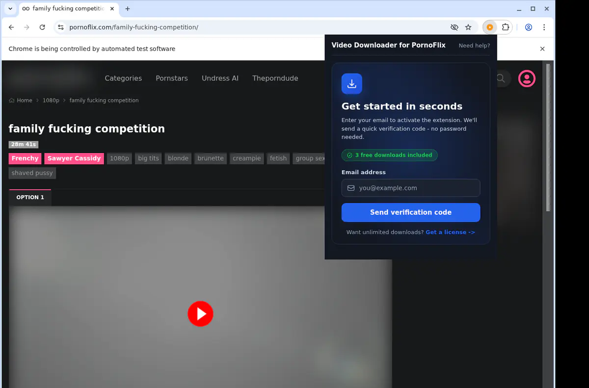Pornoflix Video Downloader browser extension screenshot 5